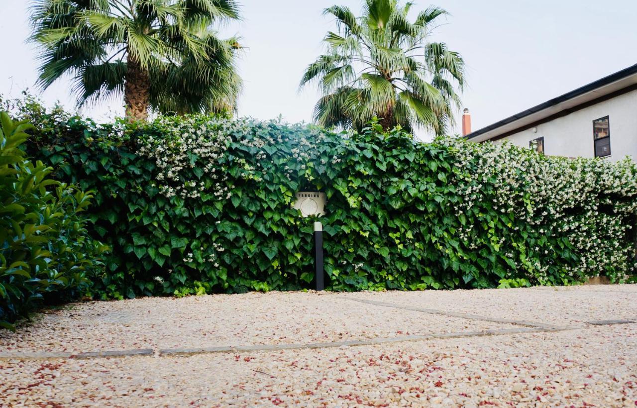 Kiwi Latina Exterior foto