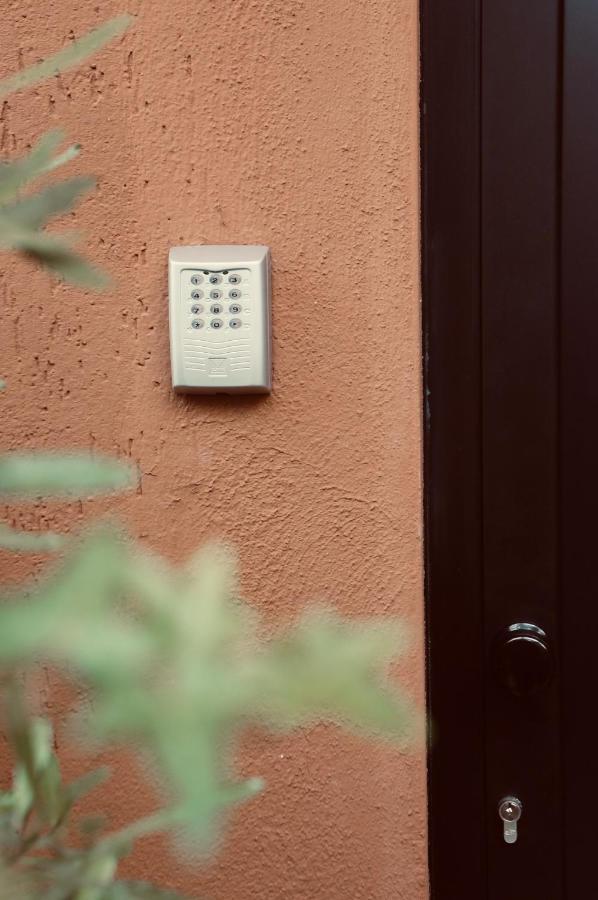 Kiwi Latina Exterior foto